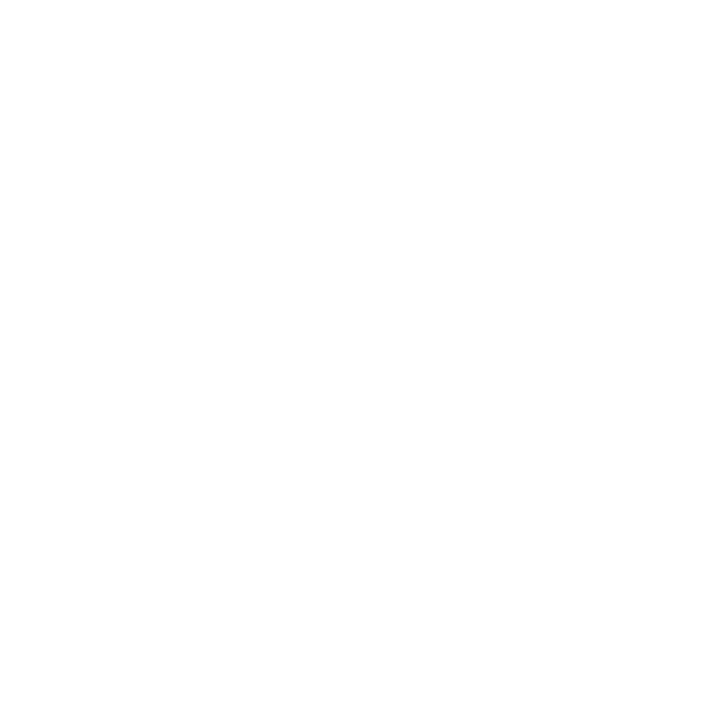 MP3